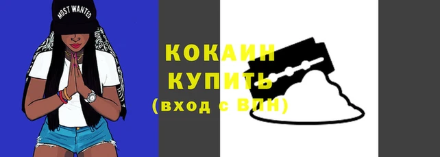 альфа пвп Заволжск