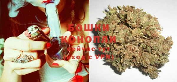 альфа пвп Заволжск