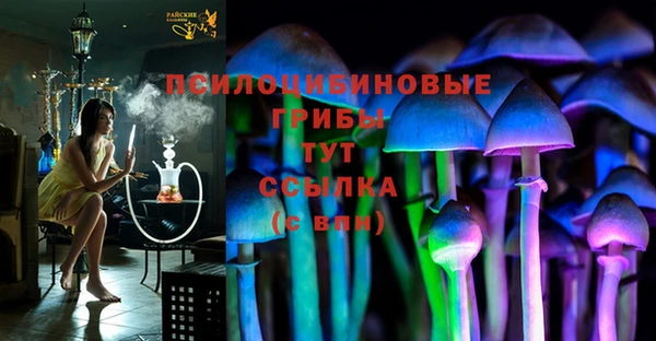 дживик Заволжье