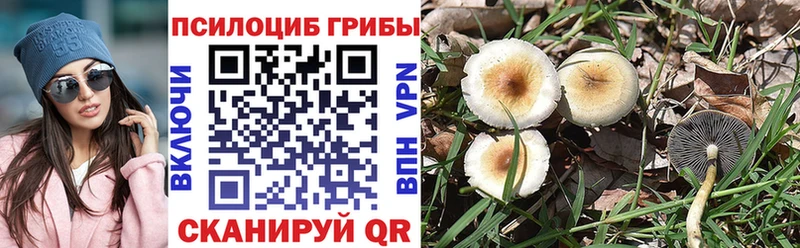 Галлюциногенные грибы MAGIC MUSHROOMS Исилькуль